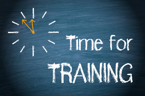 Teacher CPD